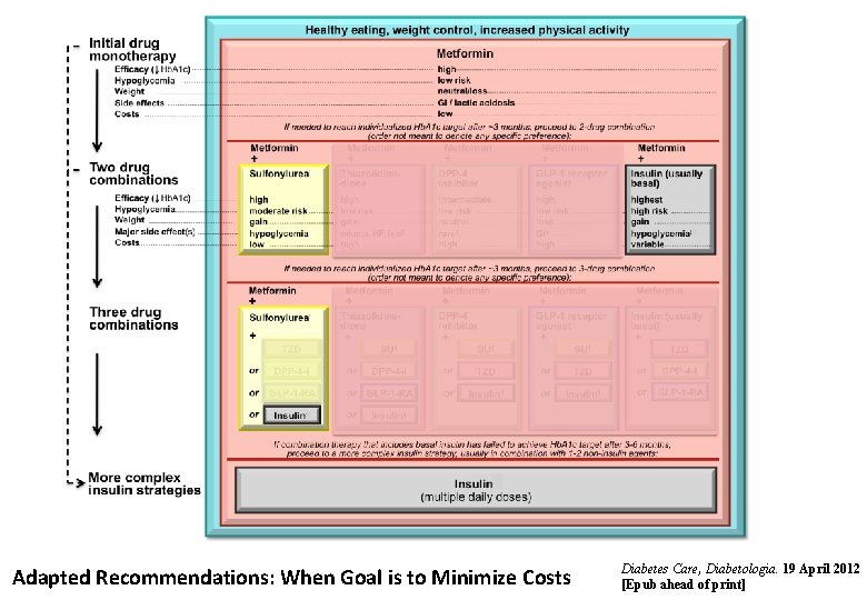 Adapted Recommendations: When Goal is to Minimize Costs Diabetes Care, Diabetologia. 19 April 2012