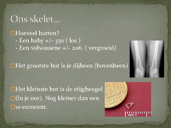 Ons skelet… �Hoeveel botten? - Een baby +/- 350 ( los ) - Een