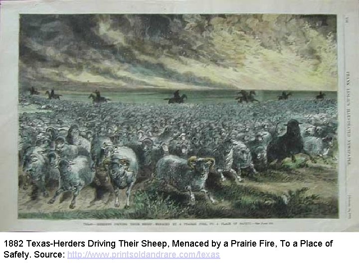 1882 Texas-Herders Driving Their Sheep, Menaced by a Prairie Fire, To a Place of
