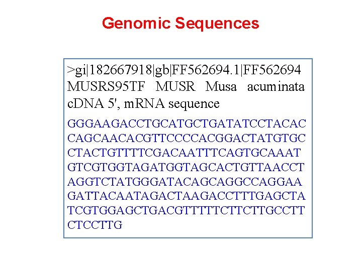Genomic Sequences >gi|182667918|gb|FF 562694. 1|FF 562694 MUSRS 95 TF MUSR Musa acuminata c. DNA
