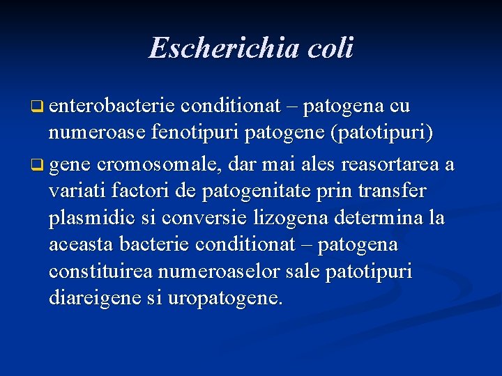 Escherichia coli q enterobacterie conditionat – patogena cu numeroase fenotipuri patogene (patotipuri) q gene