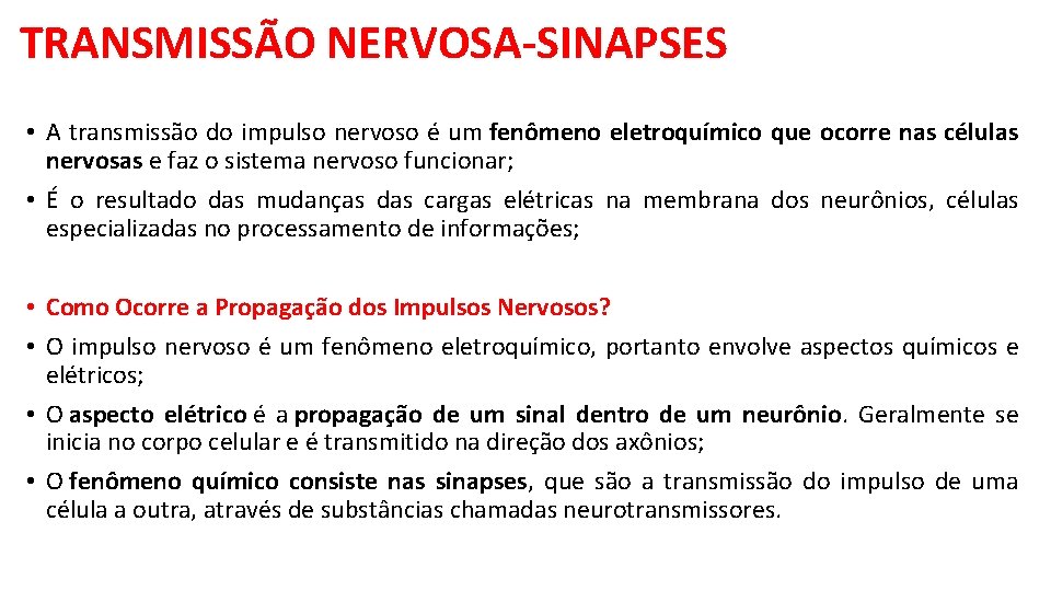 TRANSMISSÃO NERVOSA-SINAPSES • A transmissão do impulso nervoso é um fenômeno eletroquímico que ocorre