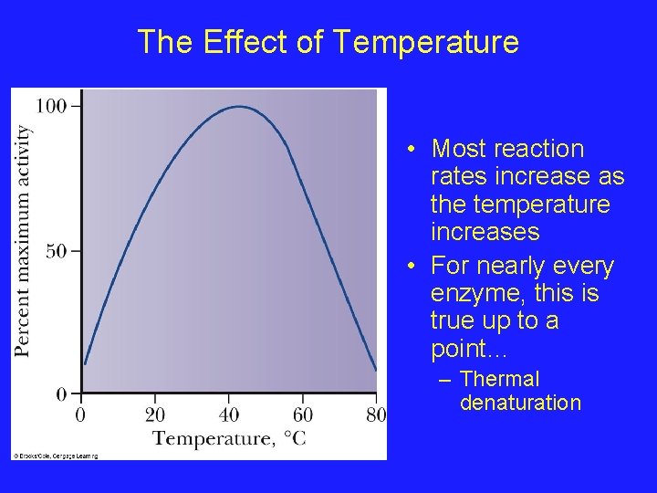 The Effect of Temperature • Most reaction rates increase as the temperature increases •