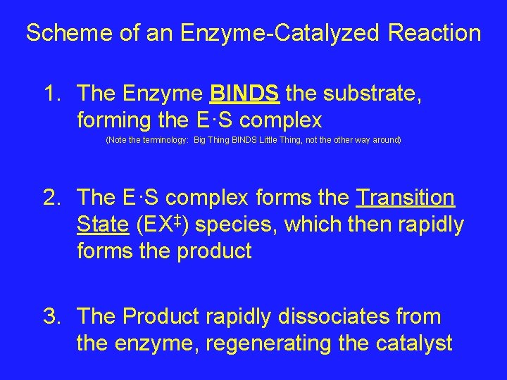 Scheme of an Enzyme-Catalyzed Reaction 1. The Enzyme BINDS the substrate, forming the E·S