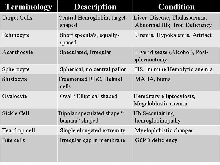 Terminology Description Condition Target Cells Central Hemoglobin; target shaped Liver Disease; Thalassaemia, Abnormal Hb;