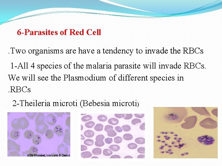 6 -Parasites of Red Cell. Two organisms are have a tendency to invade the