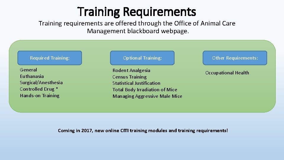 Training Requirements Training requirements are offered through the Office of Animal Care Management blackboard