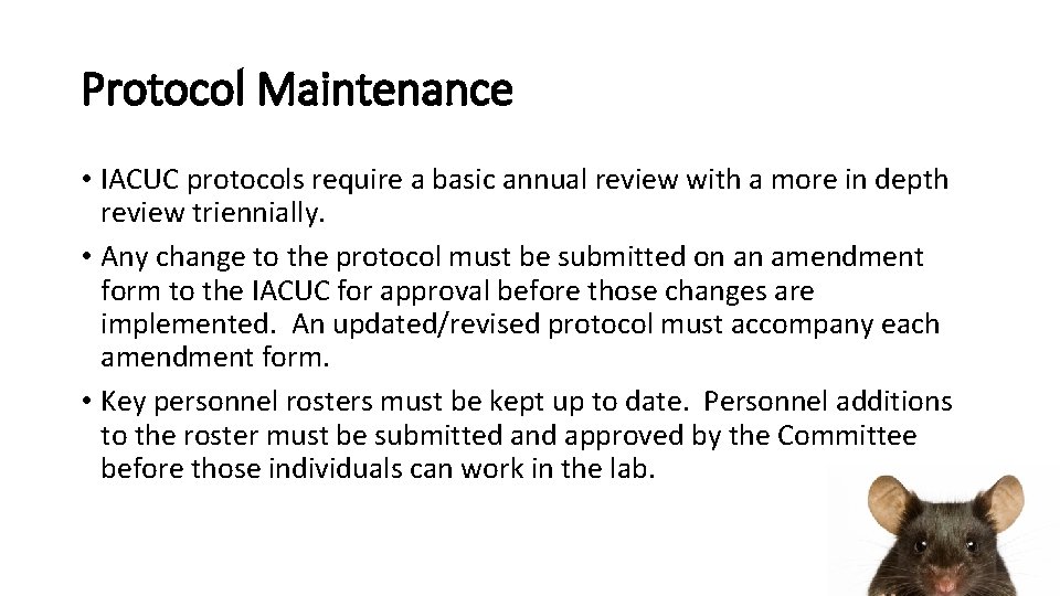 Protocol Maintenance • IACUC protocols require a basic annual review with a more in