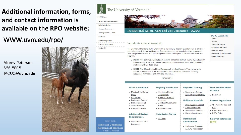 Additional information, forms, and contact information is available on the RPO website: WWW. uvm.