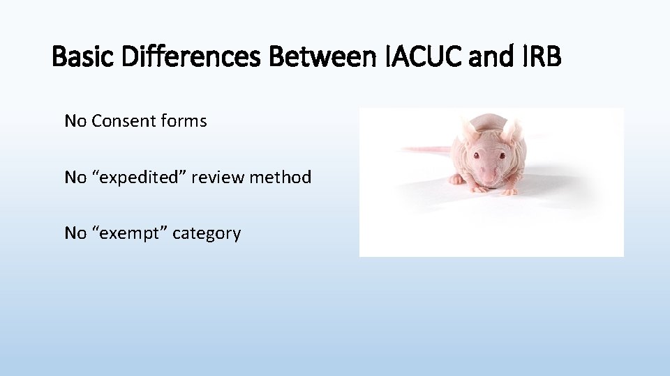 Basic Differences Between IACUC and IRB No Consent forms No “expedited” review method No