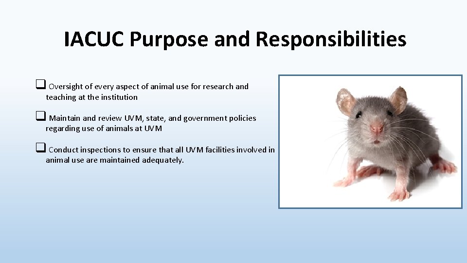 IACUC Purpose and Responsibilities q Oversight of every aspect of animal use for research