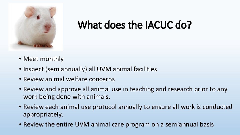 What does the IACUC do? • Meet monthly • Inspect (semiannually) all UVM animal