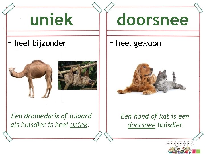 uniek doorsnee = heel gewoon = heel bijzonder Een dromedaris of luiaard als huisdier