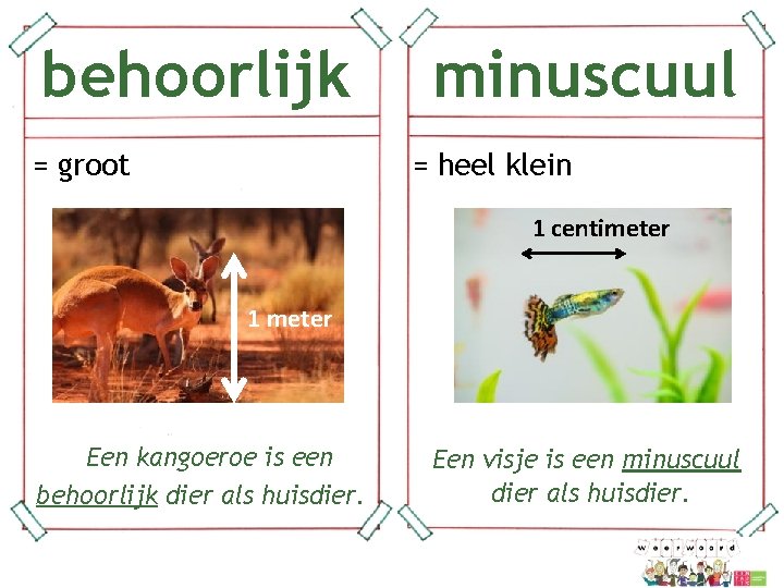 behoorlijk = groot 1 meter minuscuul = heel klein 1 centimeter Een kangoeroe is