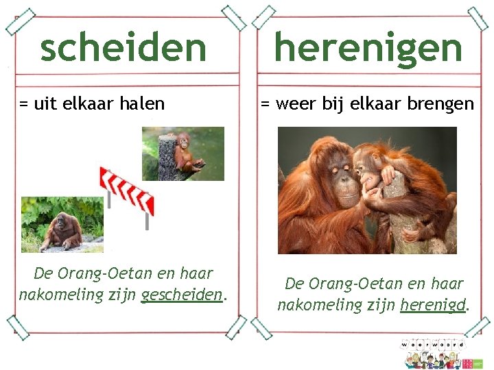 scheiden = uit elkaar halen herenigen = weer bij elkaar brengen De Orang-Oetan en