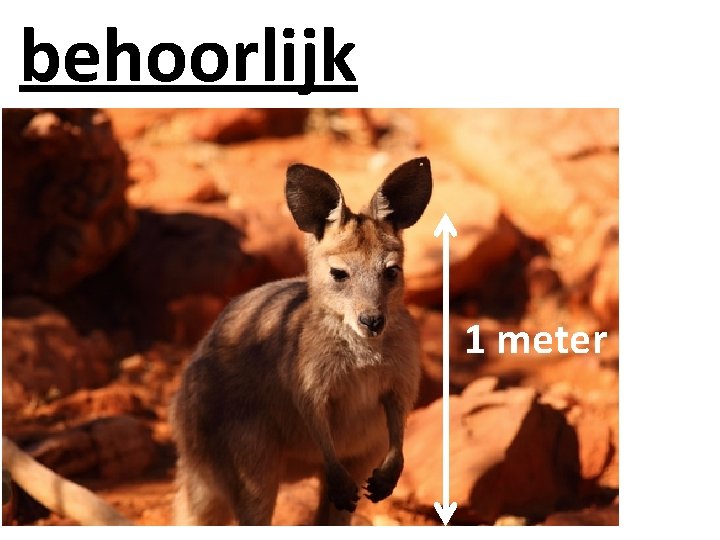 behoorlijk 1 meter 