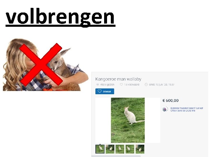 volbrengen 