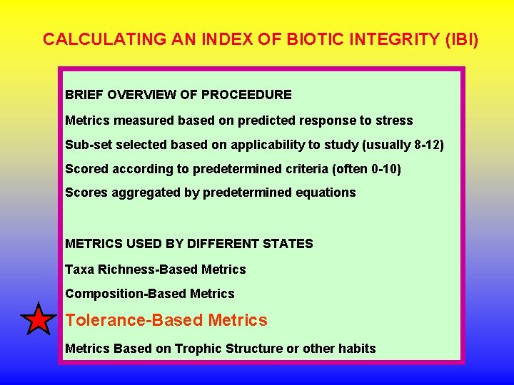 CALCULATING AN INDEX OF BIOTIC INTEGRITY (IBI) BRIEF OVERVIEW OF PROCEEDURE Metrics measured based CALCULATING AN INDEX OF BIOTIC INTEGRITY (IBI) BRIEF OVERVIEW OF PROCEEDURE Metrics measured based