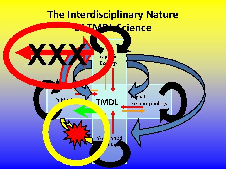The Interdisciplinary Nature of TMDL Science XXX Public Policy Aquatic Ecology TMDL Watershed Hydrology The Interdisciplinary Nature of TMDL Science XXX Public Policy Aquatic Ecology TMDL Watershed Hydrology