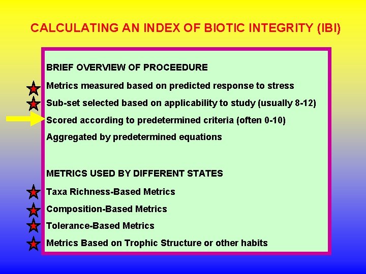 CALCULATING AN INDEX OF BIOTIC INTEGRITY (IBI) BRIEF OVERVIEW OF PROCEEDURE Metrics measured based CALCULATING AN INDEX OF BIOTIC INTEGRITY (IBI) BRIEF OVERVIEW OF PROCEEDURE Metrics measured based