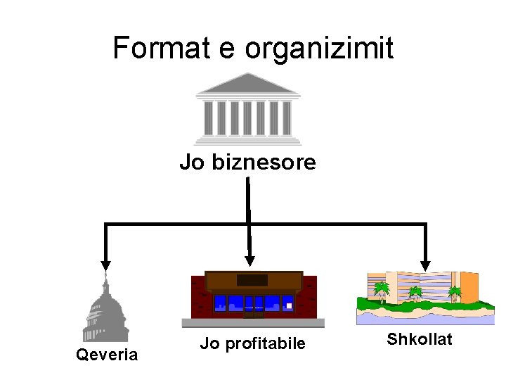 Format e organizimit Jo biznesore Qeveria Jo profitabile Shkollat 