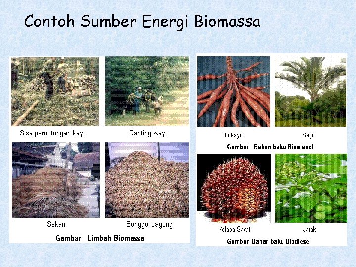 Contoh Sumber Energi Biomassa 