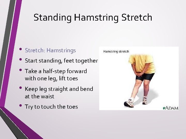 Standing Hamstring Stretch • Stretch: Hamstrings • Start standing, feet together • Take a