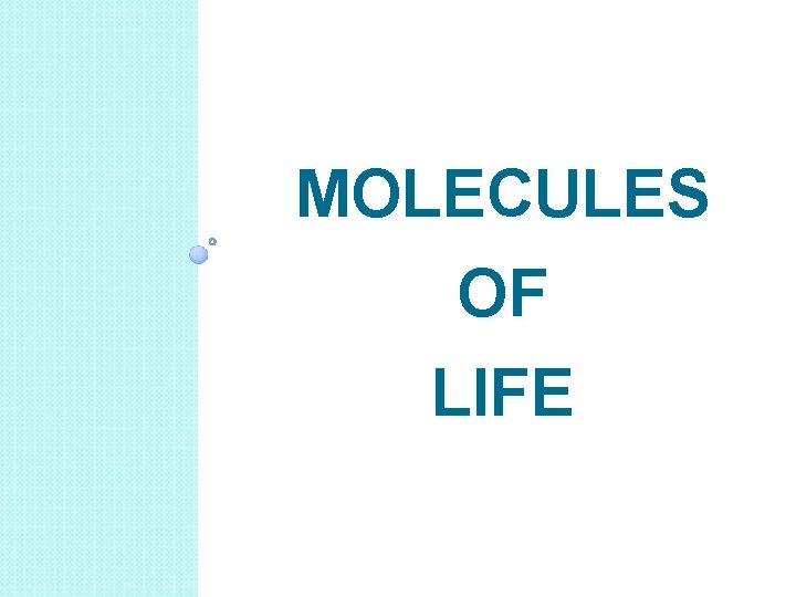MOLECULES OF LIFE 