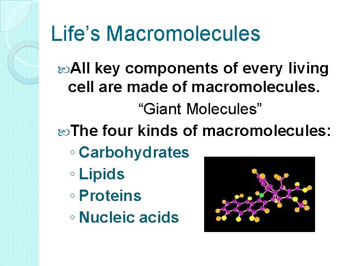 Life’s Macromolecules All key components of every living cell are made of macromolecules. “Giant