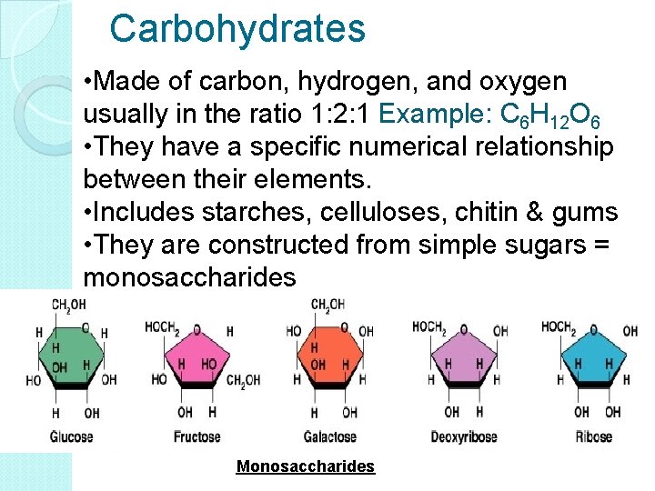 Carbohydrates • Made of carbon, hydrogen, and oxygen usually in the ratio 1: 2: