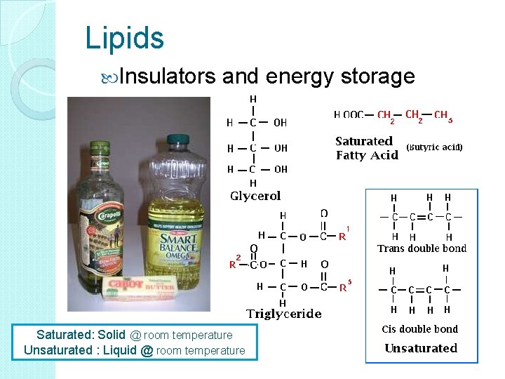 Lipids Insulators and energy storage Saturated: Solid @ room temperature Unsaturated : Liquid @