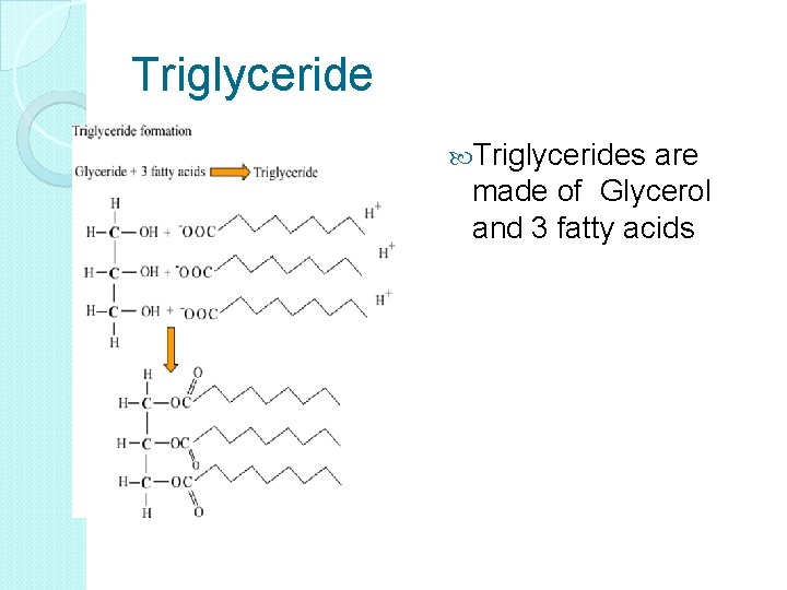 Triglyceride Triglycerides are made of Glycerol and 3 fatty acids 