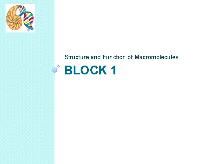 Structure and Function of Macromolecules BLOCK 1 