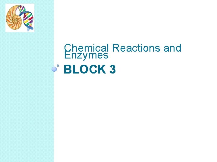 Chemical Reactions and Enzymes BLOCK 3 