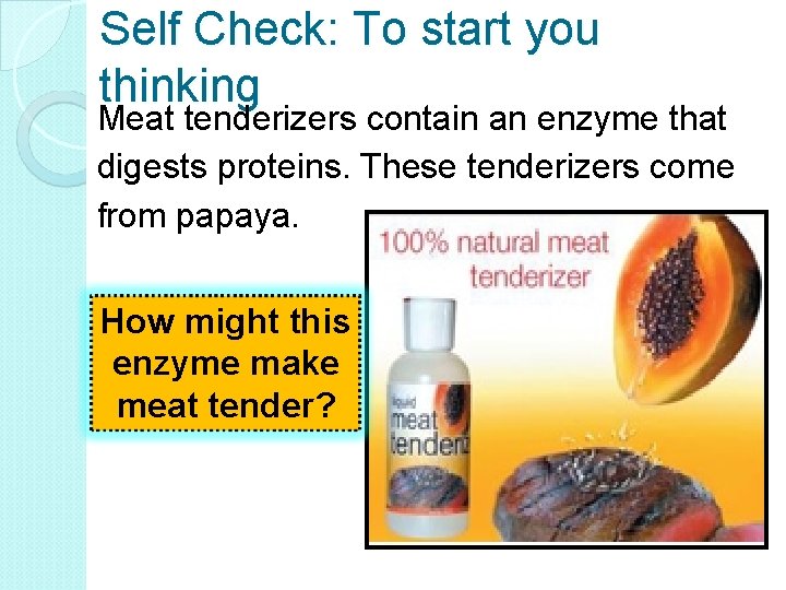 Self Check: To start you thinking Meat tenderizers contain an enzyme that digests proteins.