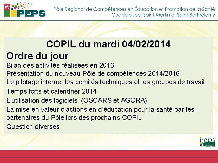 COPIL du mardi 04/02/2014 Ordre du jour Bilan des activités réalisées en 2013 Présentation