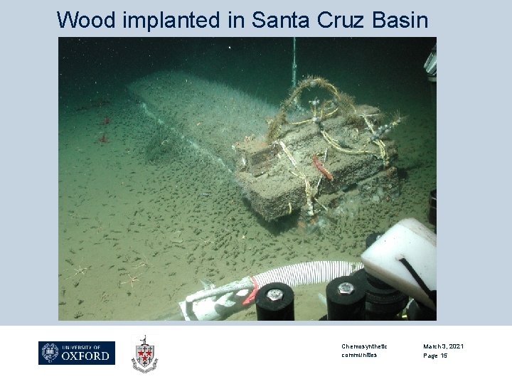Wood implanted in Santa Cruz Basin Chemosynthetic communities March 3, 2021 Page 15 