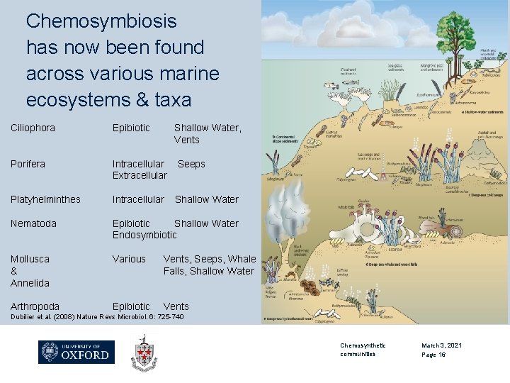 Chemosymbiosis has now been found across various marine ecosystems & taxa Ciliophora Epibiotic Shallow
