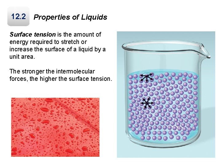 12. 2 Properties of Liquids Surface tension is the amount of energy required to