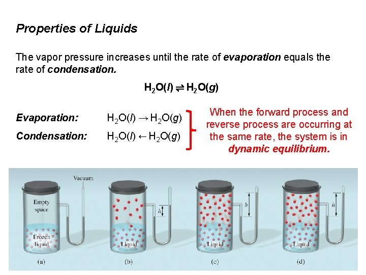 Properties of Liquids The vapor pressure increases until the rate of evaporation equals the