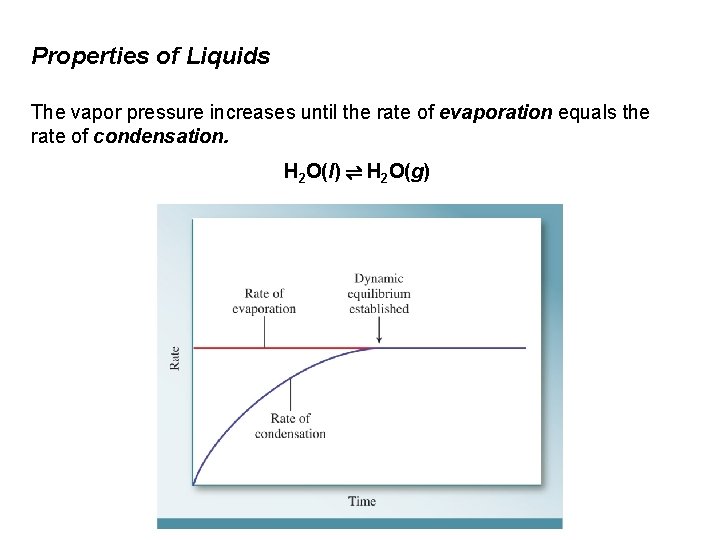 Properties of Liquids The vapor pressure increases until the rate of evaporation equals the