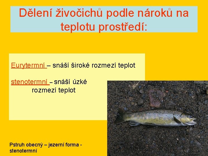 Dělení živočichů podle nároků na teplotu prostředí: Eurytermní – snáší široké rozmezí teplot stenotermní