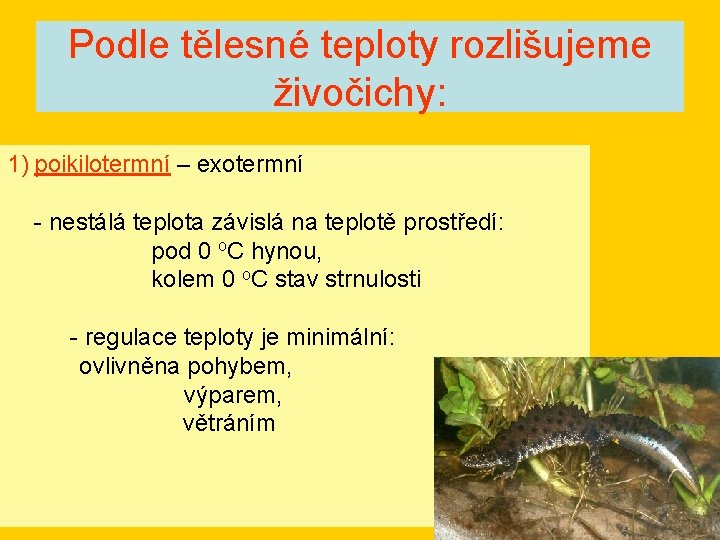 Podle tělesné teploty rozlišujeme živočichy: 1) poikilotermní – exotermní - nestálá teplota závislá na