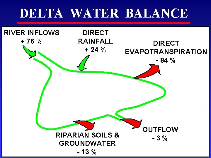 DELTA WATER BALANCE RIVER INFLOWS + 76 % DIRECT RAINFALL + 24 % RIPARIAN