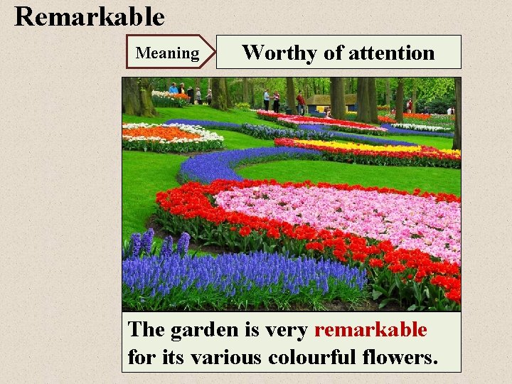 Remarkable Meaning Worthy of attention The garden is very remarkable for its various colourful