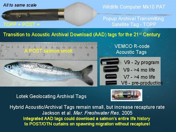 All to same scale Wildlife Computer Mk 10 PAT TOPP + POST = Popup