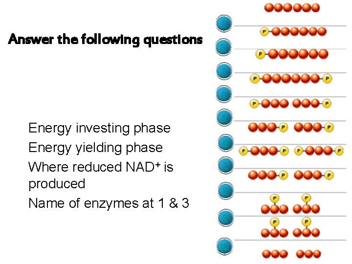 1 Answer the following questions 2 3 4 • Energy investing phase • Energy