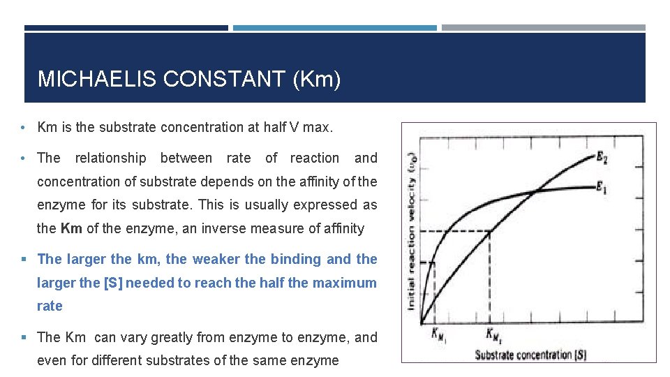 MICHAELIS CONSTANT (Km) • Km is the substrate concentration at half V max. •
