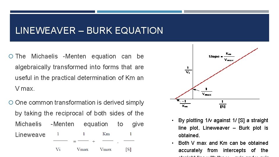 LINEWEAVER – BURK EQUATION The Michaelis -Menten equation can be algebraically transformed into forms