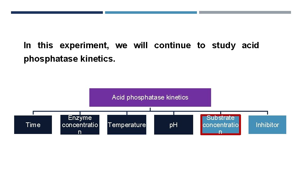 In this experiment, we will continue to study acid phosphatase kinetics. Acid phosphatase kinetics